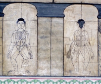 Wat Po Temple Drawings